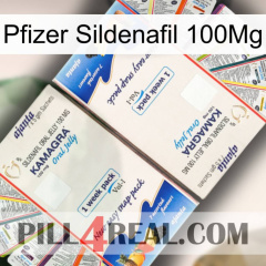 Pfizer Sildenafil 100Mg kamagra1